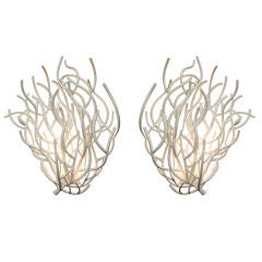 A Pair of White Coral Sconces