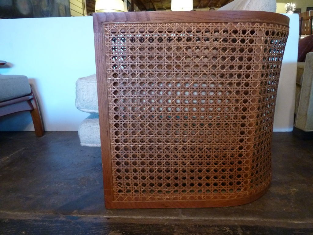 Mid-20th Century Chic  Caned Club Chair