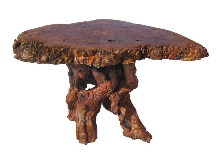 This dramatic coffee / side table features a twisted tripod base of burl root pieces surmounted by a triangular top also in burl wood. The organically sculptrural form of this mid-century table makes it truly unique.