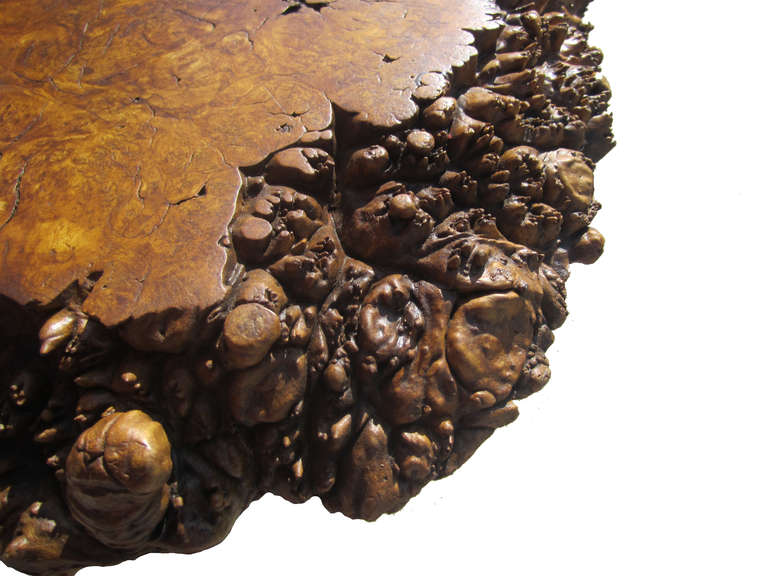 Mid-20th Century Freeform Burl Wood Coffee / Side Table