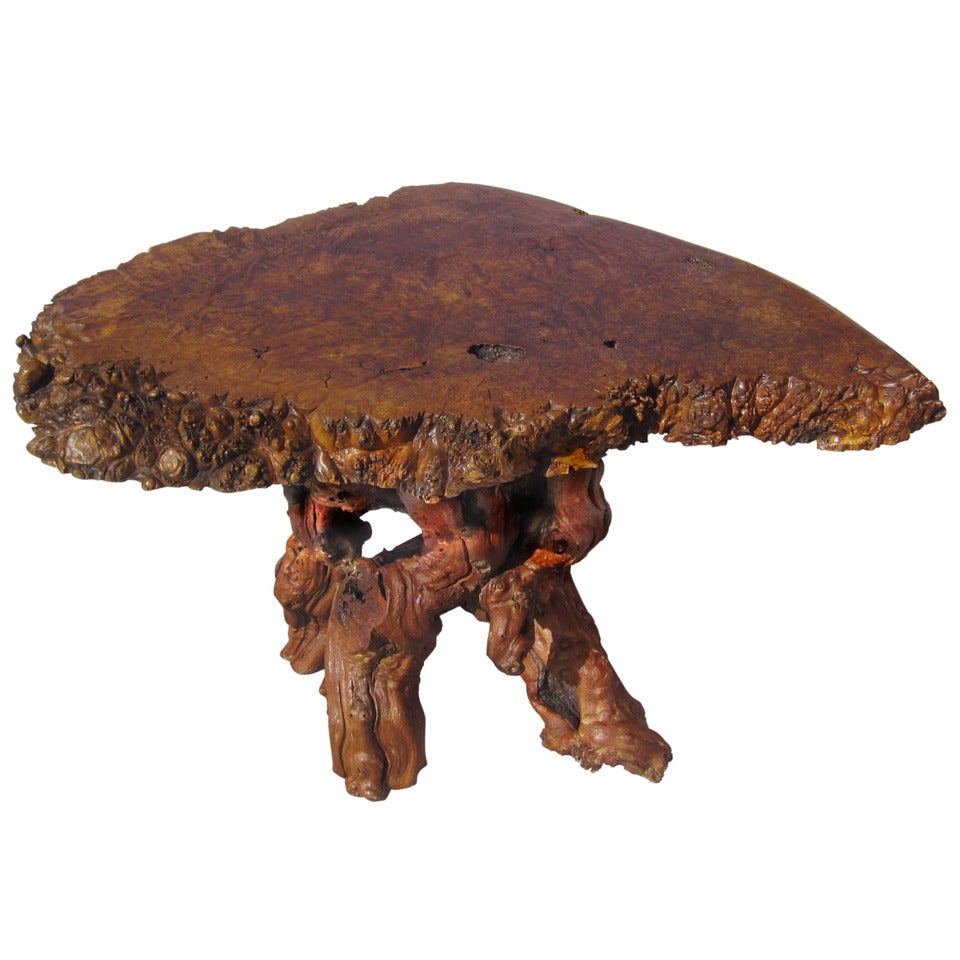 Freeform Burl Wood Coffee / Side Table