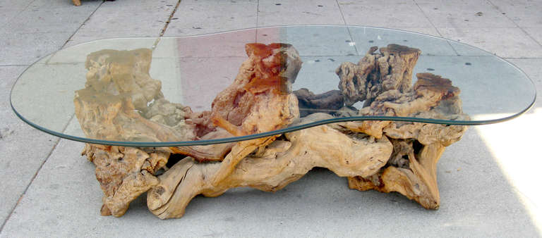 Burled Wood and Glass Coffee Table In Excellent Condition In Pasadena, CA