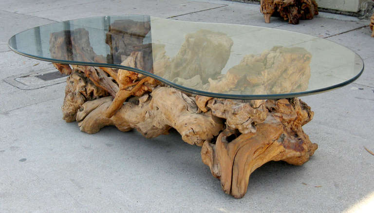 Mid-20th Century Burled Wood and Glass Coffee Table