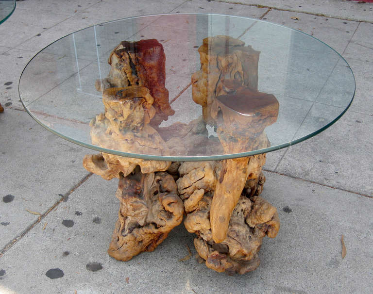 A unique pair of side tables comprised of a natural burled wood base topped off by a circular piece of glass. 

Please see our listing for a matching coffee table.