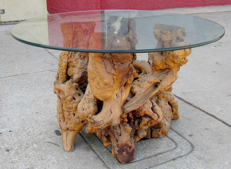 Unique Pair of Burled Wood and Glass Side Tables 1