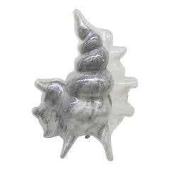 Incredible Conch Shell Lamp 7