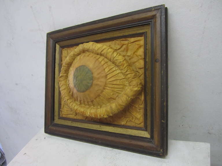 Bizarre and Unique Silicone Eye Wall Art