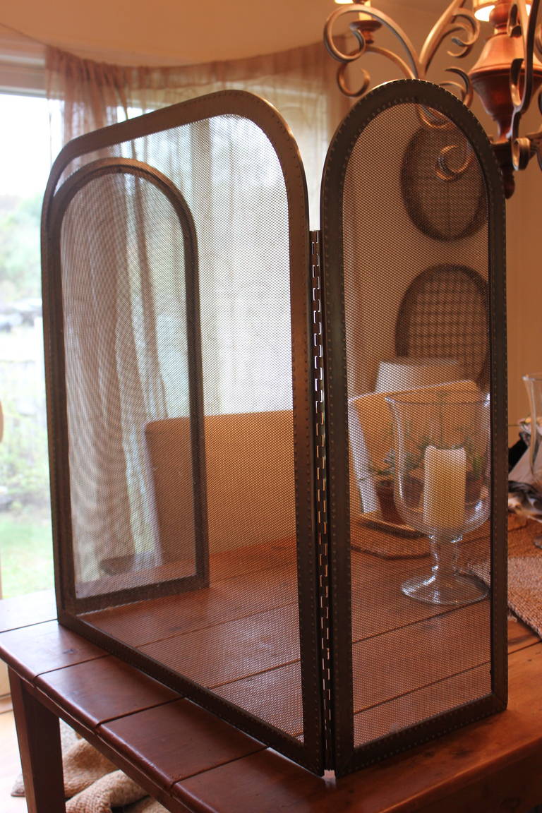 Nickel Fire Place Screen