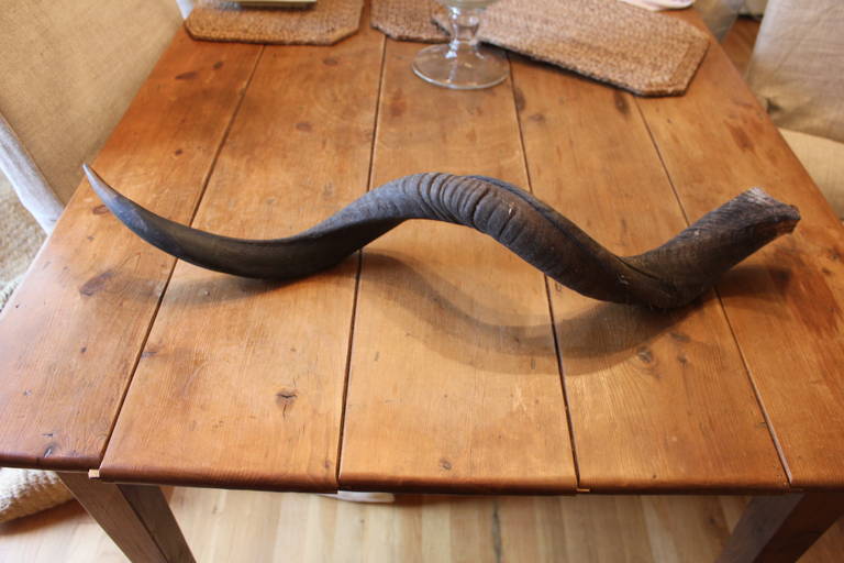 Antiques Horns, sold individually, inquire within if you would like all and bucket. But sold here individually.