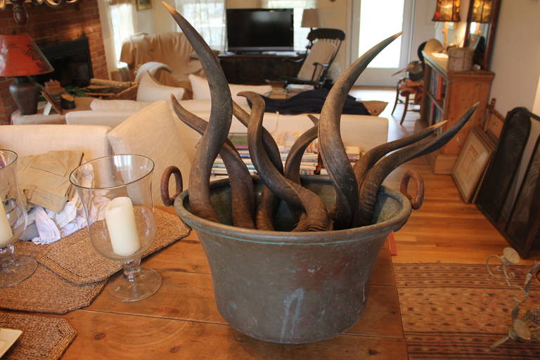 Mid-20th Century Antique Horns For Sale