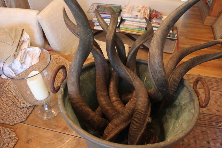 Zimbabwean Antique Horns For Sale