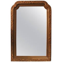 Gold Carved Polychrome Mirror 11