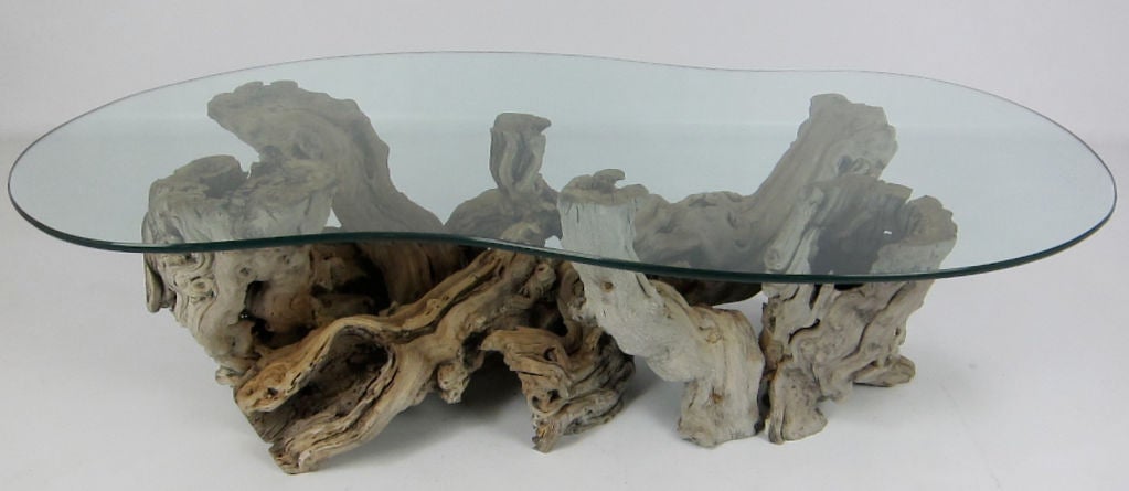 Wood Large Root Burl Coffee Table with Freeform Glass Top