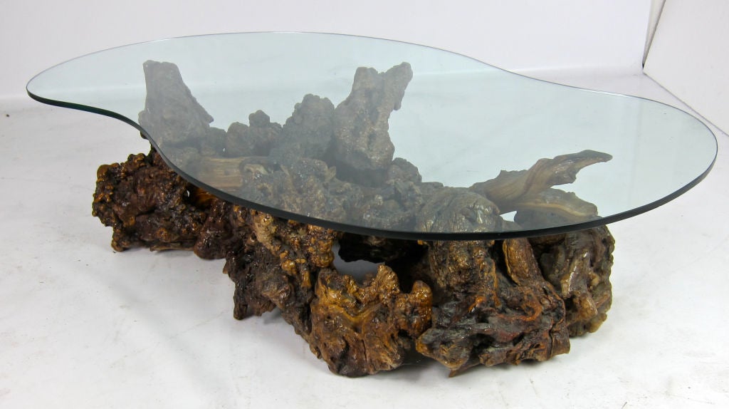 Sculptural Burl Root Wood Coffee Table with Freeform glass top.  The burl elements are expertly and seamlessly joined together and are clear lacquered.