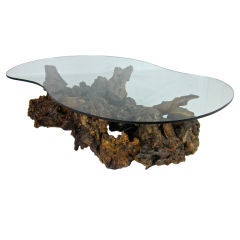Root Burl Driftwood Coffee Table with Freeform Top