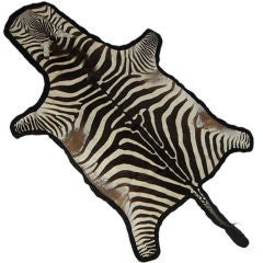 Vintage Mounted Zebra Hide