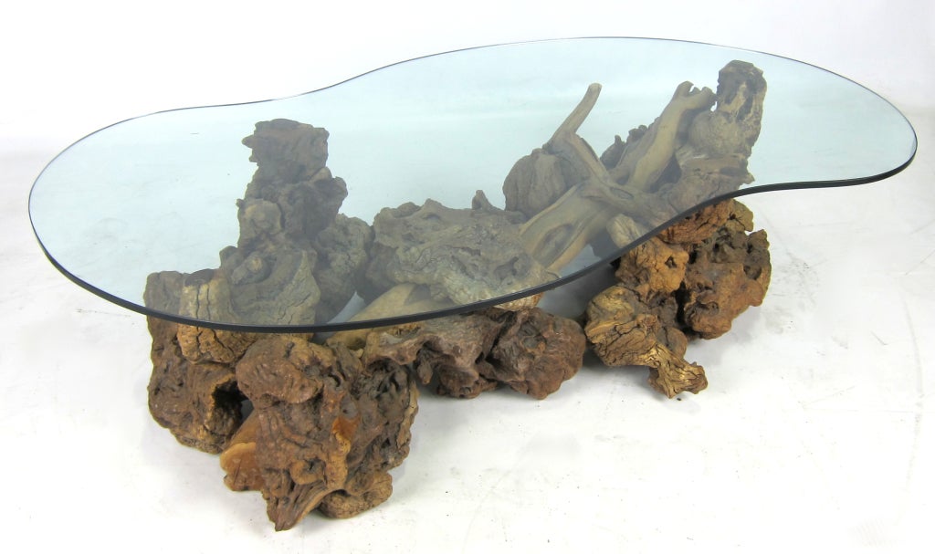 Sculptural Burl Root Wood Coffee Table with Freeform glass top. The burl elements are expertly and seamlessly joined together by a central driftwood spar.  Please browse our entire inventory at www.antiquesdumonde.1stdibs.com