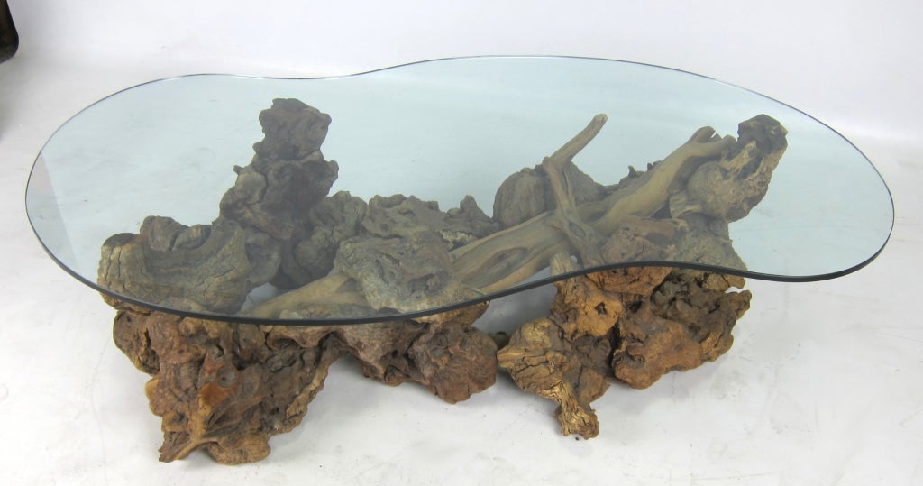 Large Freeform Driftwood Coffee Table In Excellent Condition In Danville, CA