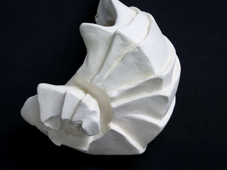 Six Large Plaster Conch Shell Sconces by Michael Taylor 1