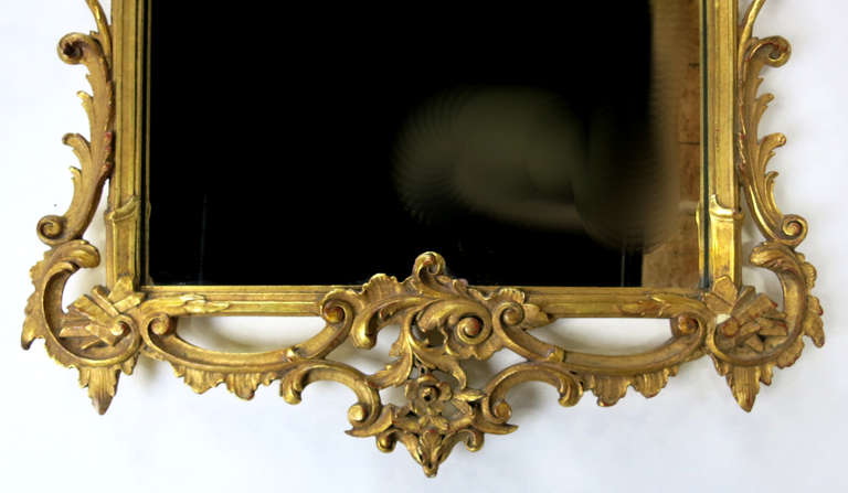 Glass Italian Rococo Carved Gilt Wood Mirror by Milch Bros.-New York