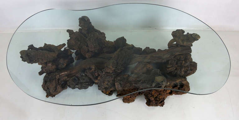 American Driftwood Base Coffee Table with Freeform Glass Top