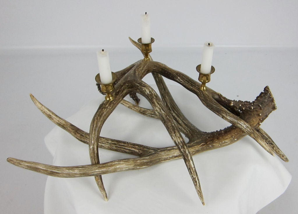 Large Candelabra constructed from a pair of Antlers with brass candle cups.