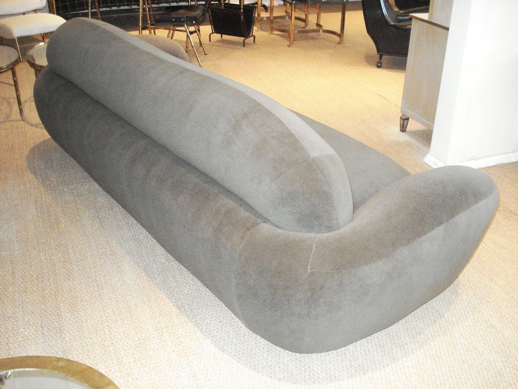 Biomorphic Sofa.