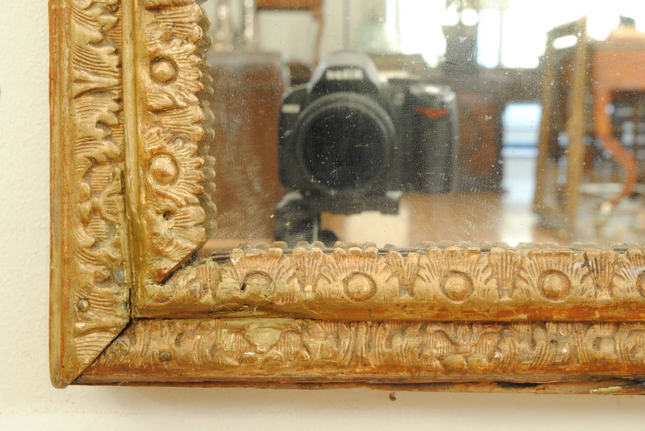 French Regence Period Carved Giltwood Mirror, Early 18th Century 5