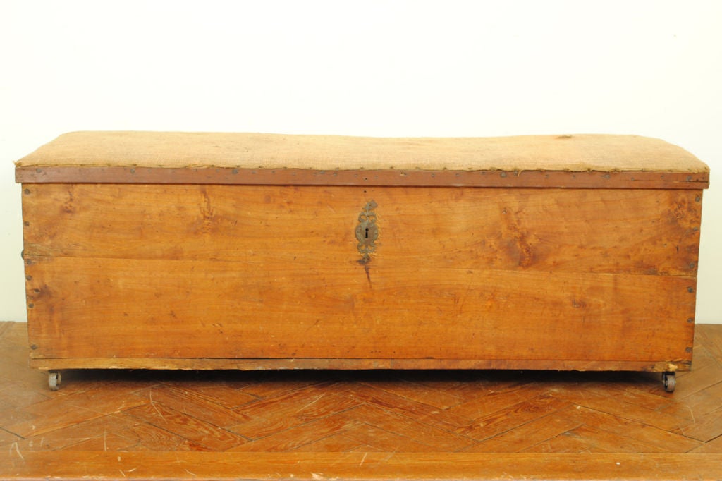 French 19th Century Pinewood and Upholstered Iron Mounted Trunk 1