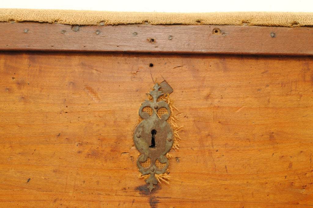 French 19th Century Pinewood and Upholstered Iron Mounted Trunk 3