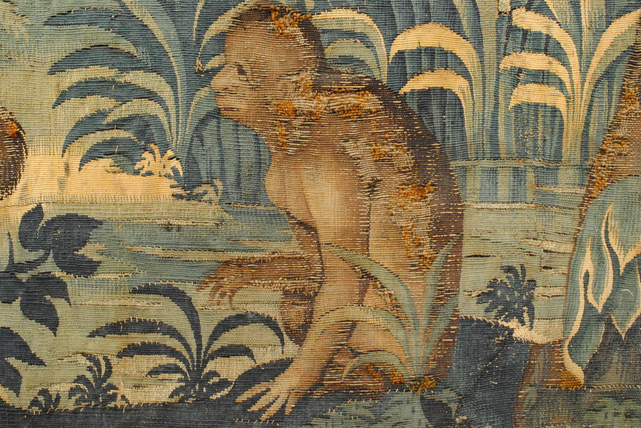 Large Framed Tapestry Fragment, France or Belgium, 18th Century 1