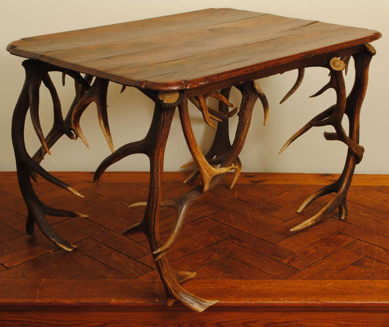 the rectangular walnut top having a molded edge and rounded corners resting atop a grouping of antlers as supports