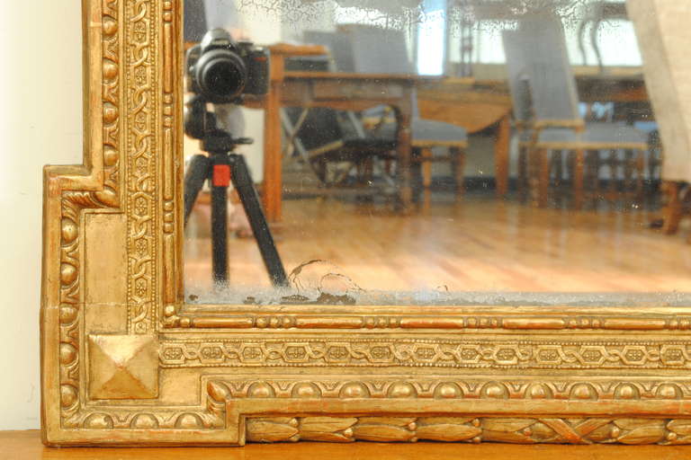 Beautifully Carved Italian Neoclassic Tall Giltwood Mirror, Early 19th Century 2