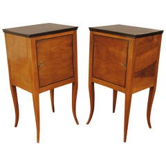 Pair of Italian Neoclassical Fruitwood and Ebonized Cabinets, 19th Century 9