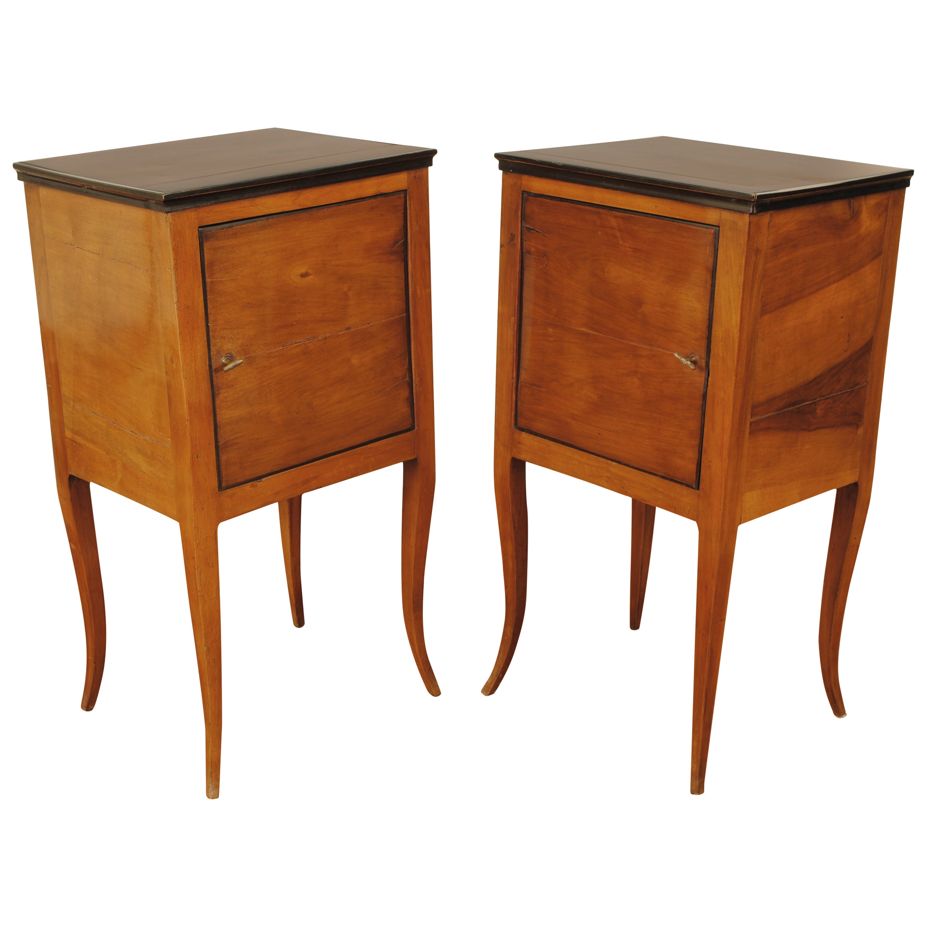 Pair of Italian Neoclassical Fruitwood and Ebonized Cabinets, 19th Century