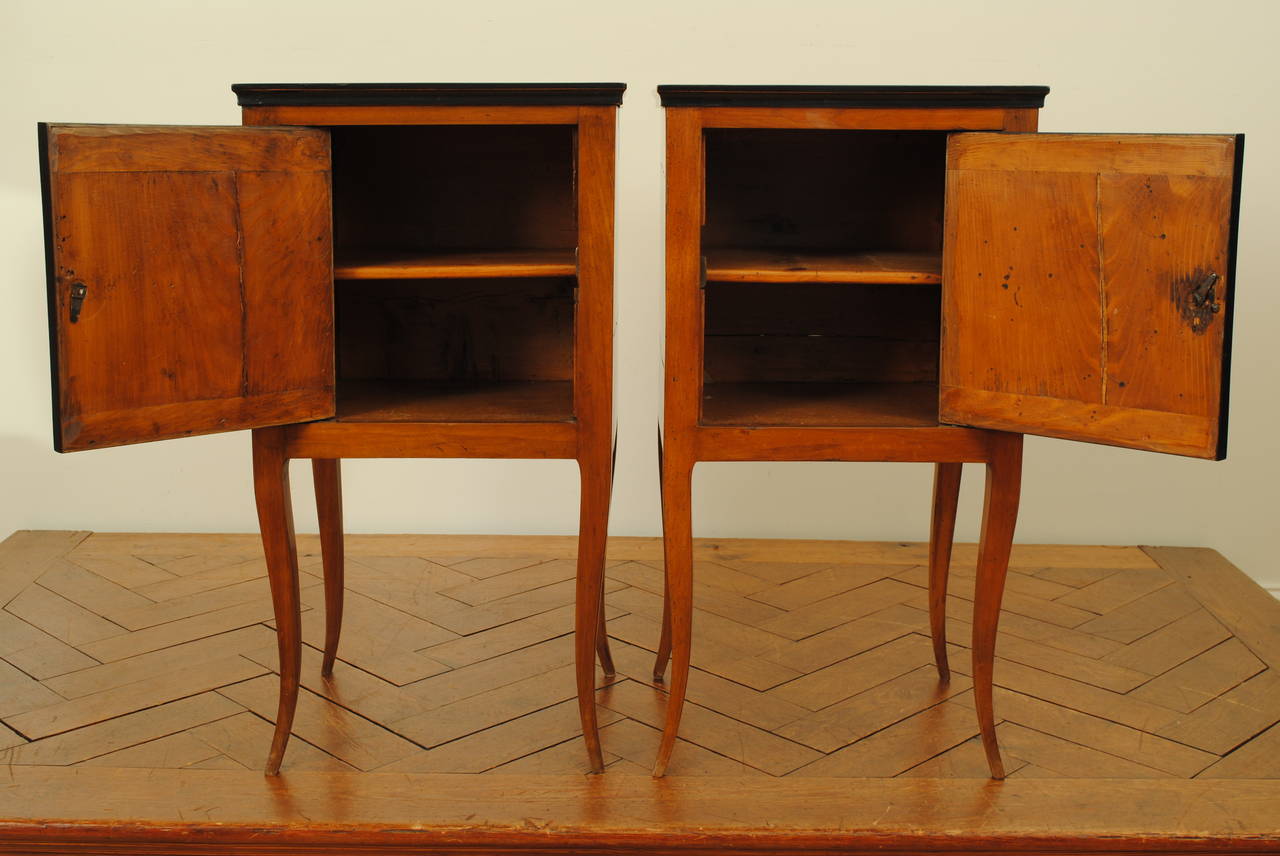 Pair of Italian Neoclassical Fruitwood and Ebonized Cabinets, 19th Century In Excellent Condition In Atlanta, GA