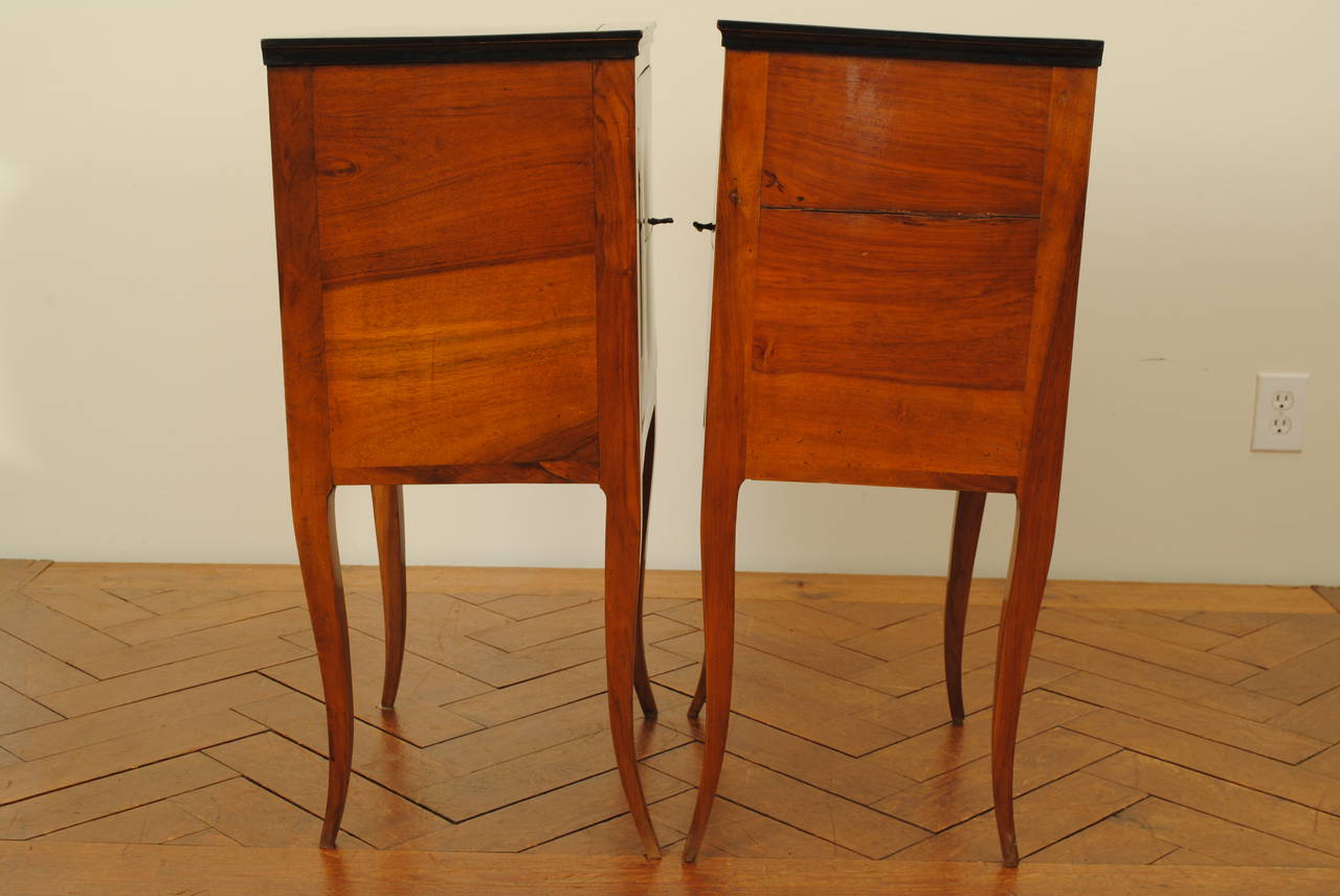 Mid-19th Century Pair of Italian Neoclassical Fruitwood and Ebonized Cabinets, 19th Century