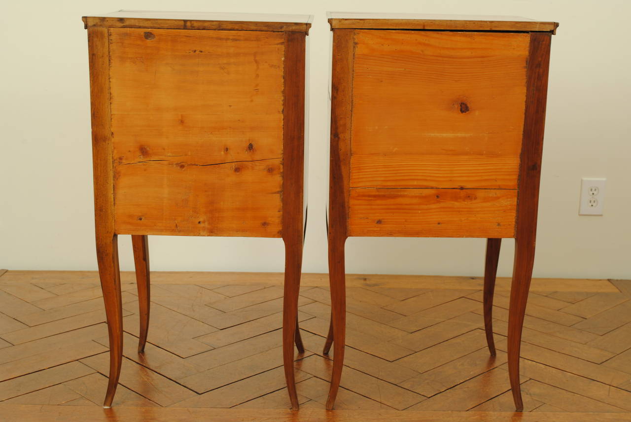 Pair of Italian Neoclassical Fruitwood and Ebonized Cabinets, 19th Century 1
