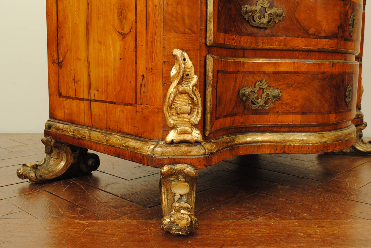 18th Century Venetian Rococo Walnut Commode with Giltwood Decorations and Feet, Mid-18th C.