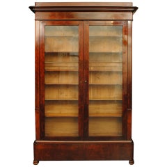 French Louis Philippe Mahogany Shallow Cabinet, 19th Century