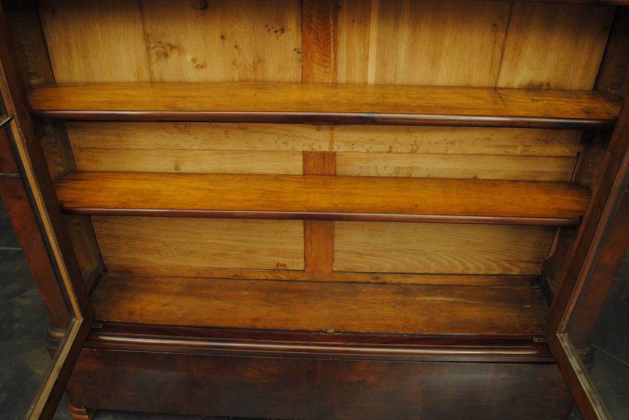 Brass French Louis Philippe Mahogany Shallow Cabinet, 19th Century