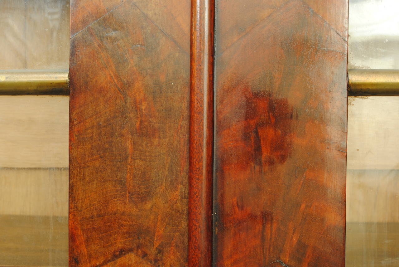 French Louis Philippe Mahogany Shallow Cabinet, 19th Century 2