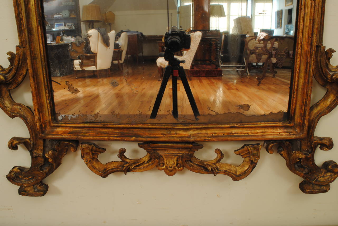 Italian, Toscana, Louis XIV Style Carved Giltwood Mirror, 18th Century For Sale 4