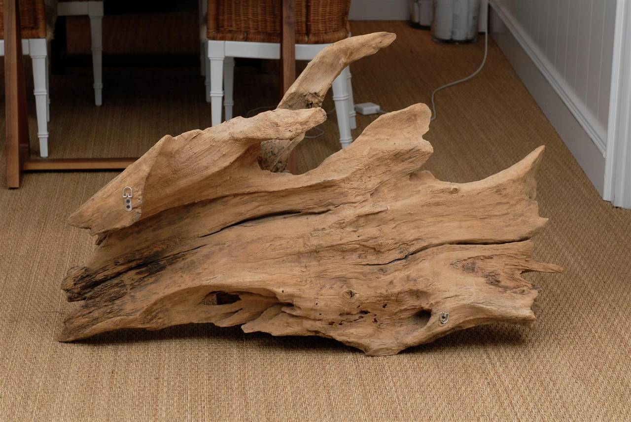 Mopano Wood Sculpture In Good Condition For Sale In Atlanta, GA
