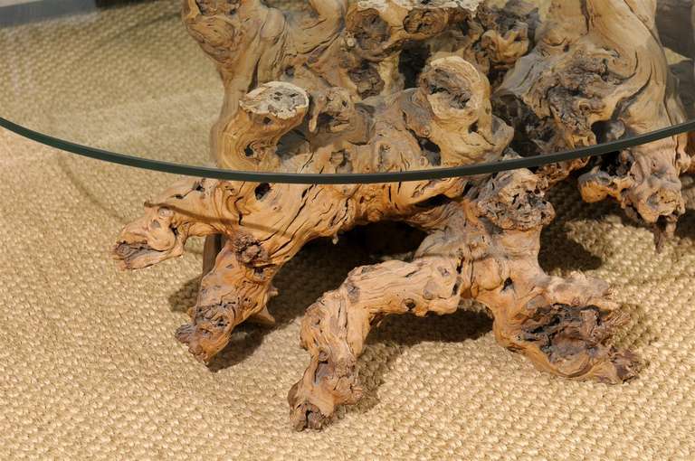 20th Century Root Coffee Table For Sale