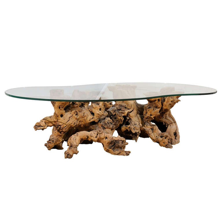 Root Coffee Table For Sale