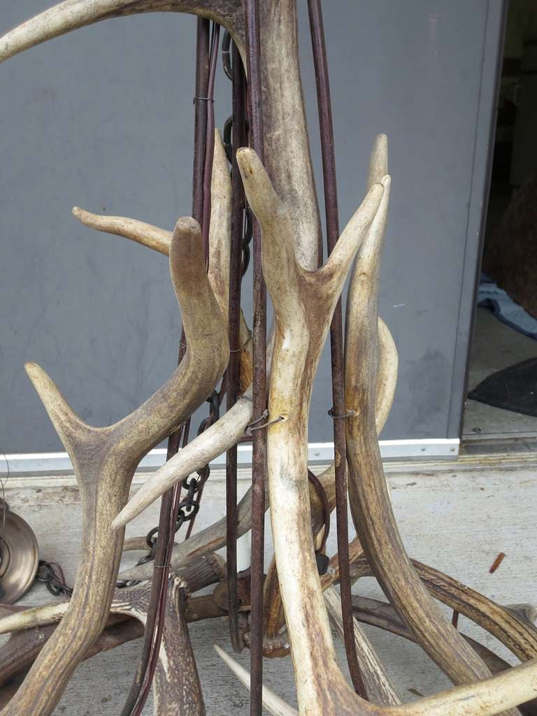 Late 19th/20thC Antler & Iron Chandelier In Good Condition In Atlanta, GA