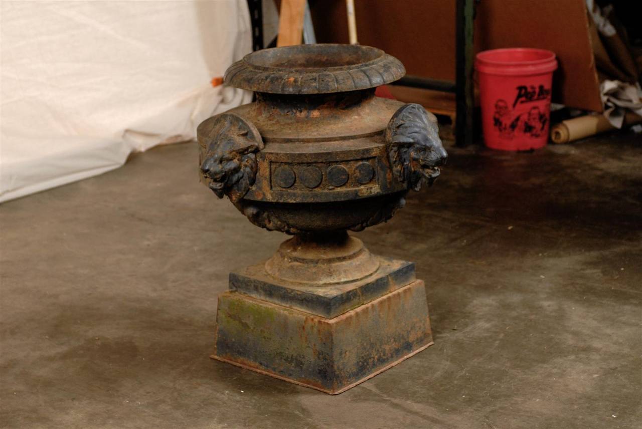 Important 19th Century Iron Urn with Lions Heads (originally removable) and circles
Great Garden accent