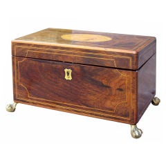 19thc Large Inlaid Mahogany Tea Caddy, With Sea Shell Motif
