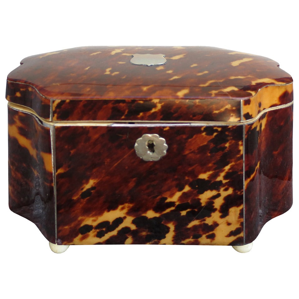 19th Century English Tortoise Shell Box with Ivory & Sterling Accents